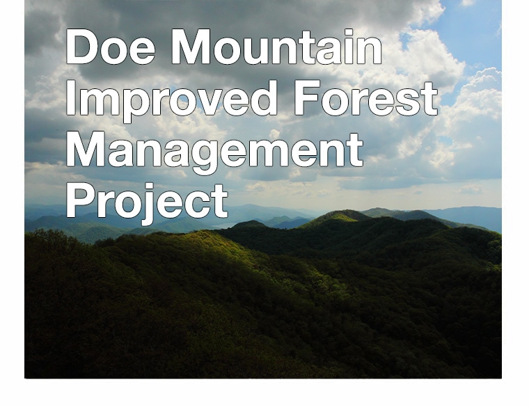 Doe Mountain Improved Forest Management Project